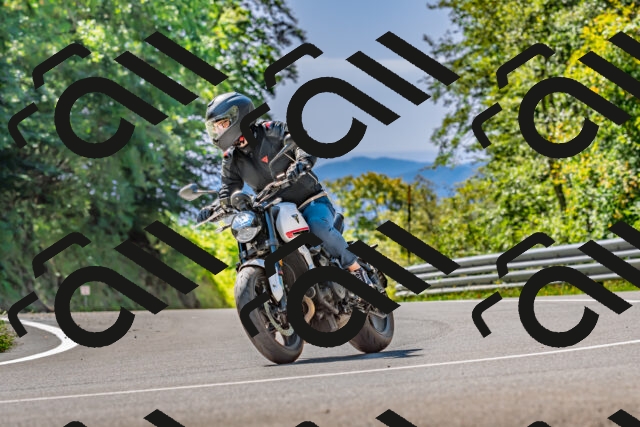 202509271245-DSC_4009_d2_