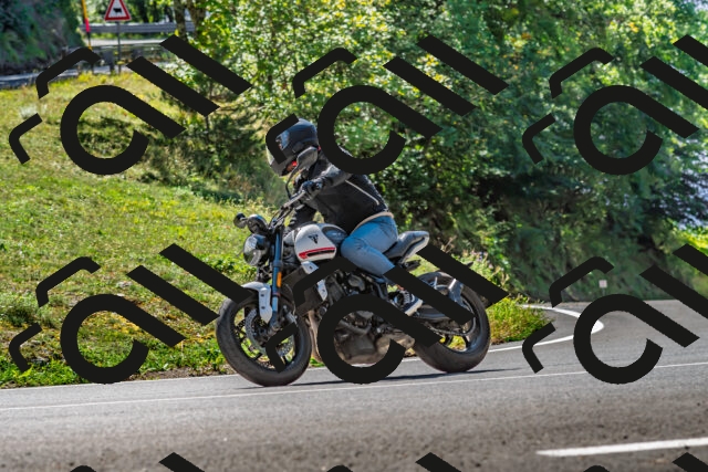 202509271245-DSC_4010_d2_