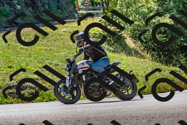 202509271245-DSC_4011_d2_