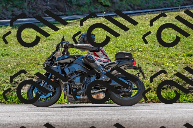 202509271246-DSC_4018_d2_