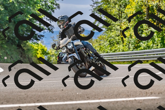 202509271246-DSC_4023_d2_