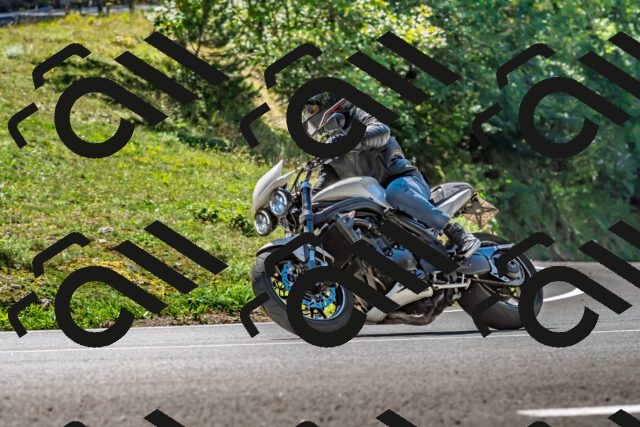 202509271246-DSC_4025_d2_