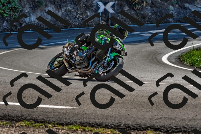 202509271247-DSC_4031_d2_