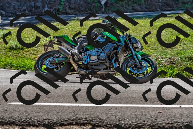 202509271247-DSC_4032_d2_