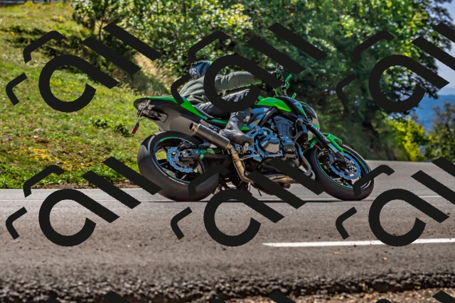 202509271247-DSC_4034_d2_