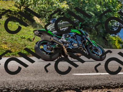 202509271247-DSC_4034_d2_