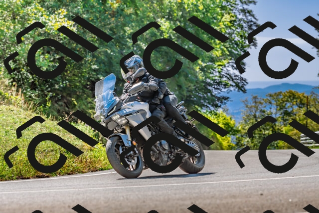 202509271247-DSC_4036_d2_