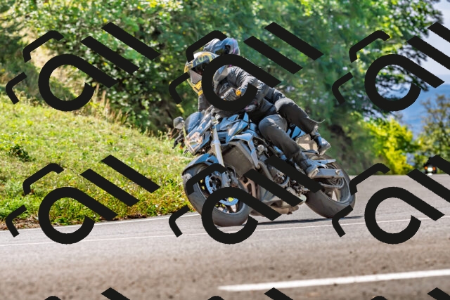 202509271247-DSC_4039_d2_