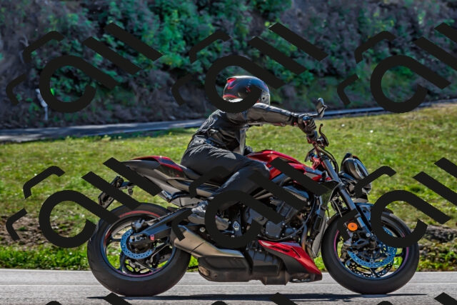 202509271248-DSC_4048_d2_