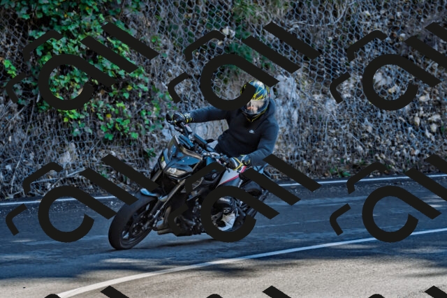 202509271248-DSC_4050_d2_