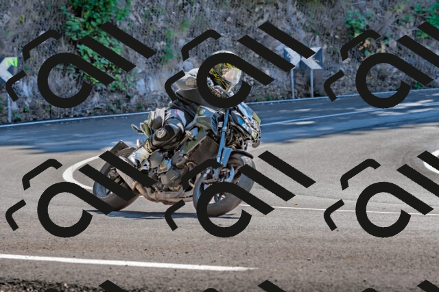 202509271248-DSC_4052_d2_