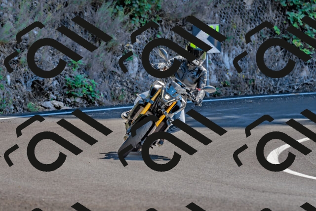 202509271254-DSC_4054_d2_