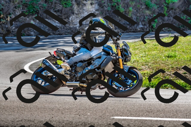 202509271254-DSC_4056_d2_