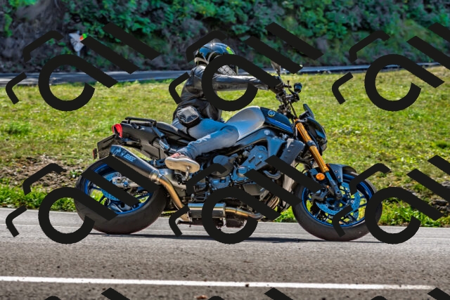 202509271254-DSC_4057_d2_