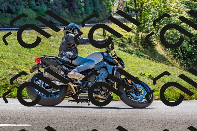 202509271254-DSC_4058_d2_