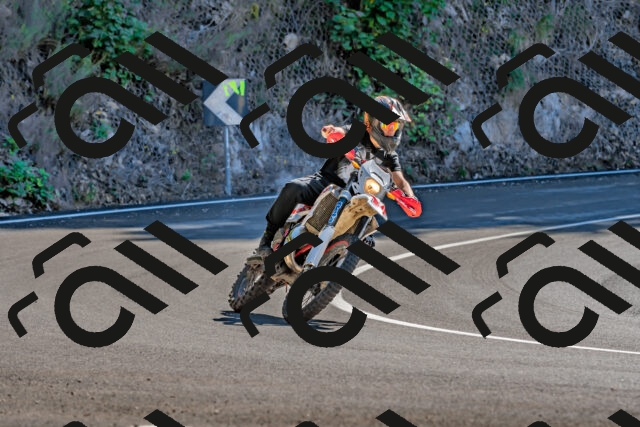 202509271258-DSC_4060_d2_