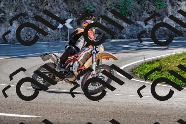 202509271258-DSC_4061_d2_