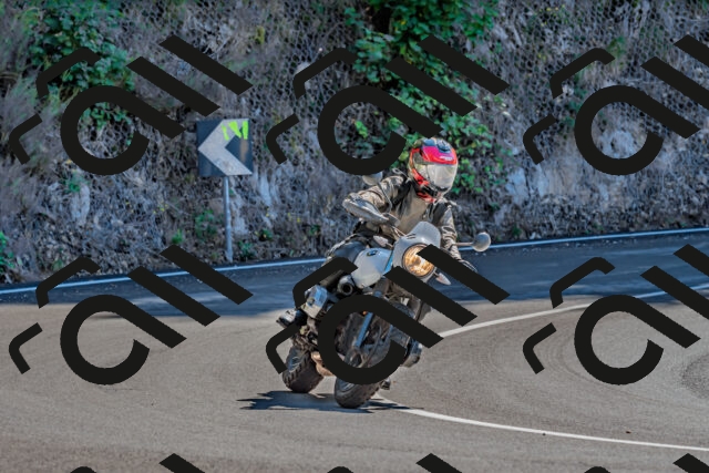 202509271258-DSC_4063_d2_