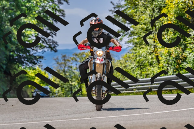 202509271259-DSC_4067_d2_