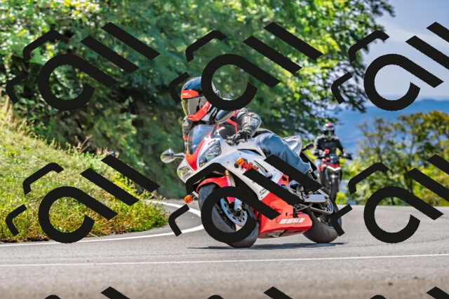 202509271304-DSC_4075_d2_