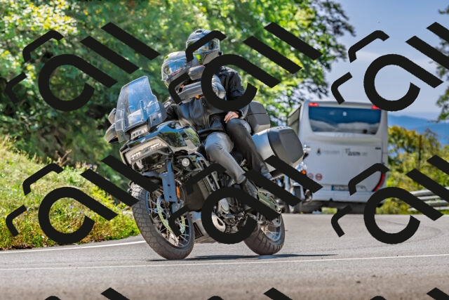 202509271306-DSC_4090_d2_