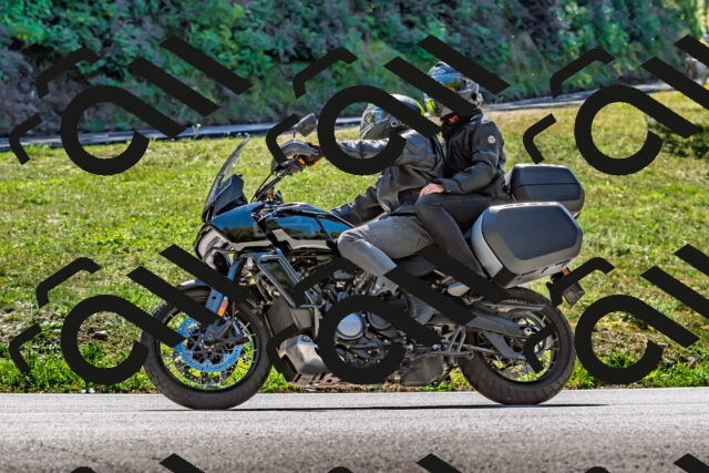 202509271306-DSC_4093_d2_