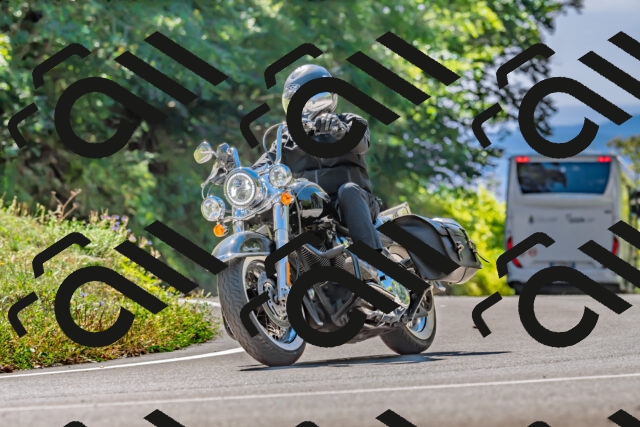 202509271306-DSC_4094_d2_