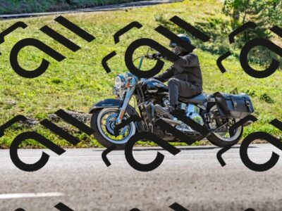 202509271306-DSC_4095_d2_