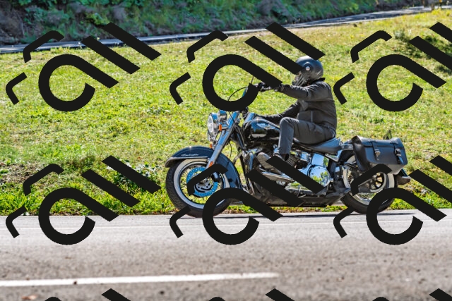 202509271306-DSC_4096_d2_