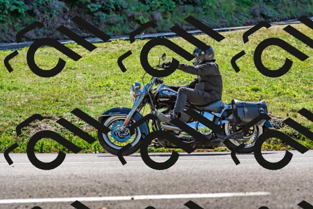 202509271306-DSC_4097_d2_