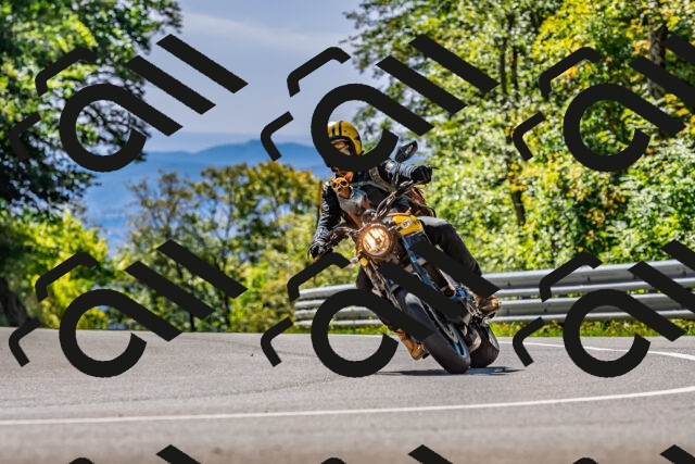 202509271307-DSC_4098_d2_