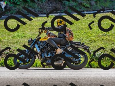 202509271307-DSC_4100_d2_