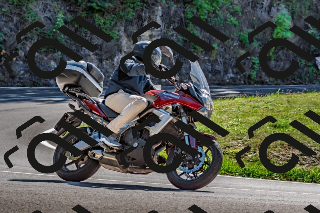 202509271313-DSC_4106_d2_