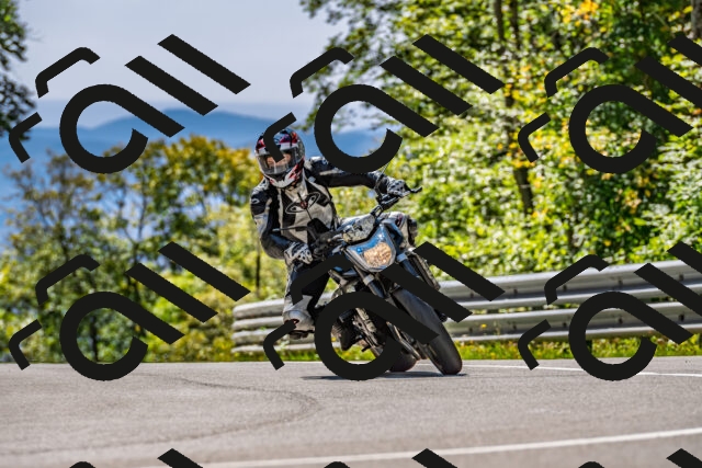 202509271319-DSC_4117_d2_