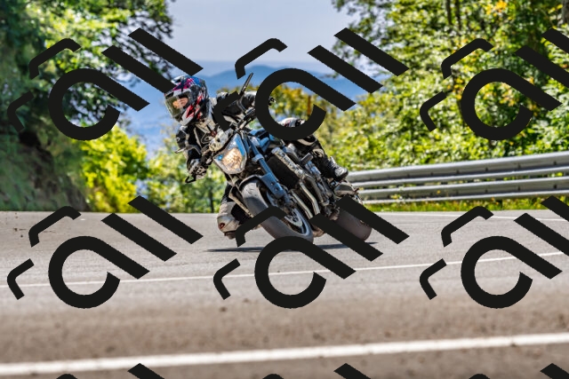 202509271319-DSC_4118_d2_