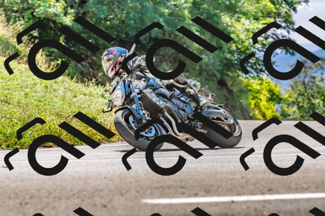 202509271319-DSC_4119_d2_