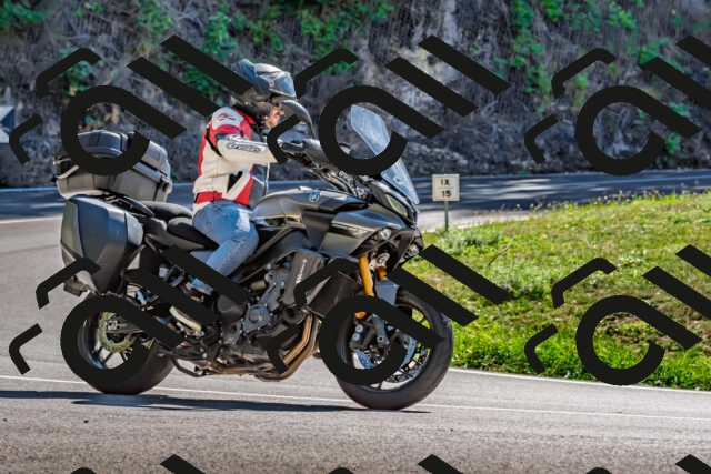 202509271323-DSC_4134_d2_