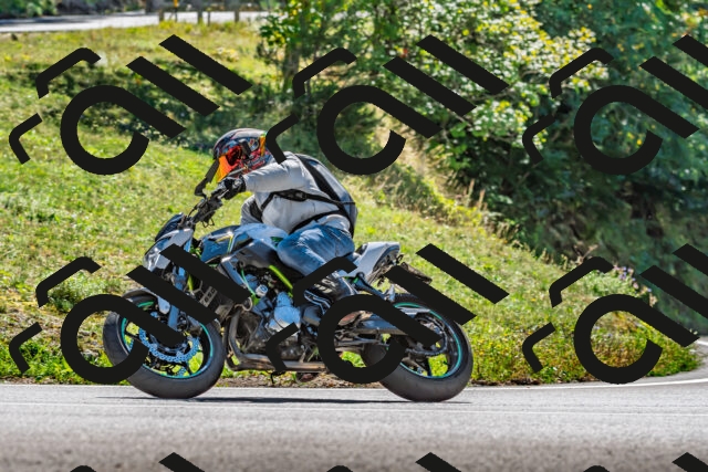 202509271343-DSC_4148_d2_