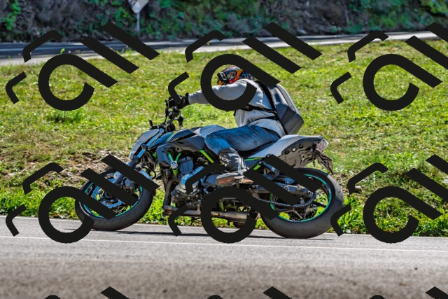 202509271343-DSC_4150_d2_