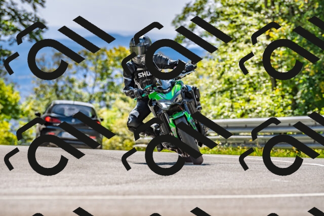 202509271343-DSC_4151_d2_