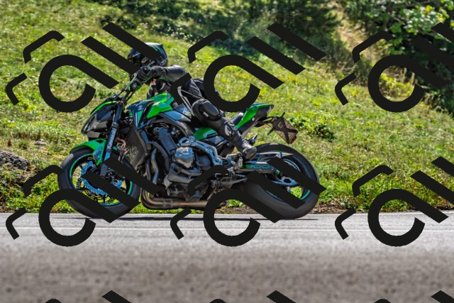 202509271343-DSC_4152_d2_