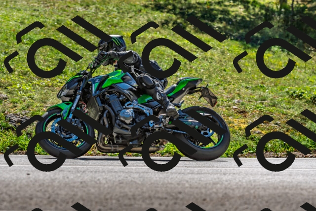 202509271343-DSC_4153_d2_