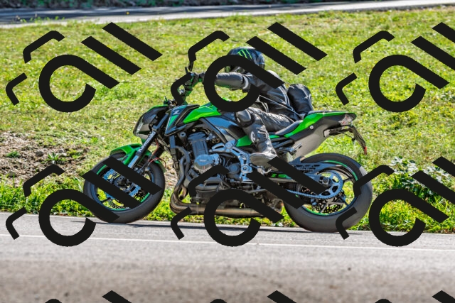 202509271343-DSC_4154_d2_