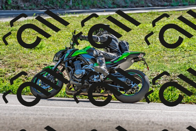 202509271343-DSC_4155_d2_