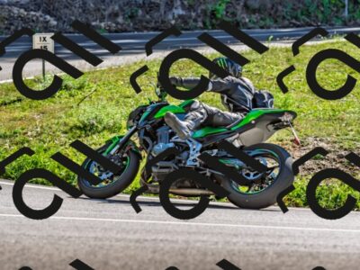 202509271343-DSC_4156_d2_