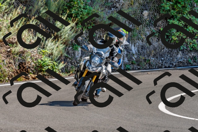 202509271354-DSC_4174_d2_