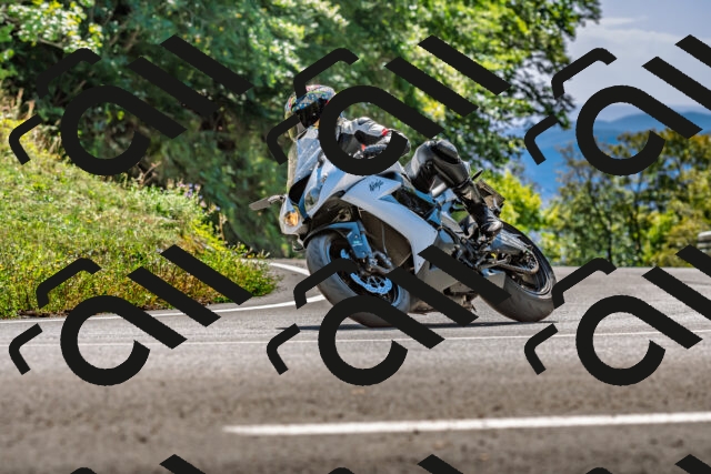 202509271402-DSC_4185_d2_