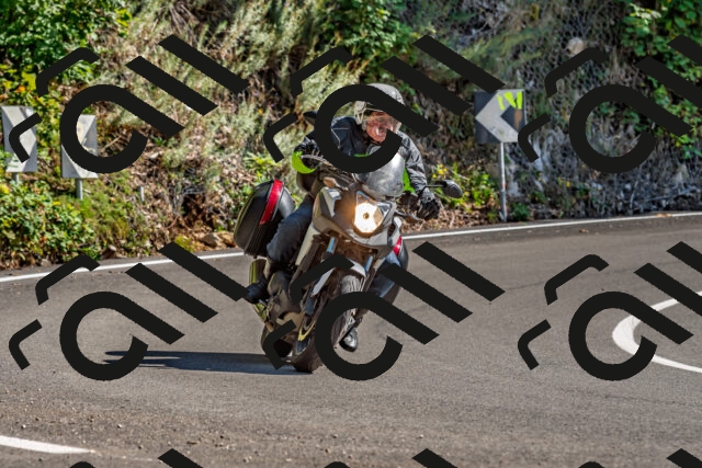 202509271409-DSC_4228_d2_