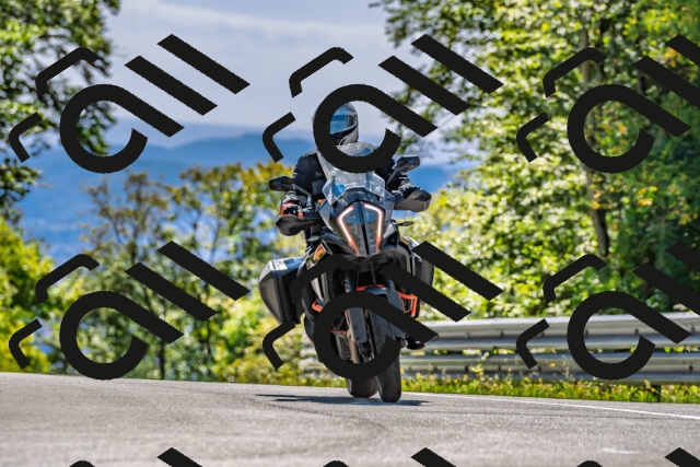 202509271410-DSC_4231_d2_