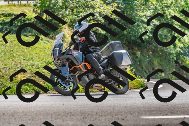 202509271410-DSC_4232_d2_